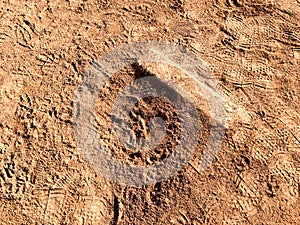 Baseball Pitchers mound with rubber