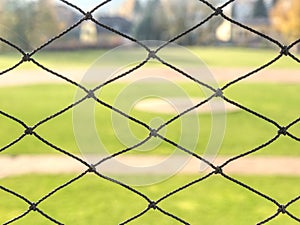 Baseball stadium. Green grass on baseball field