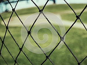 Baseball stadium. Green grass on baseball field