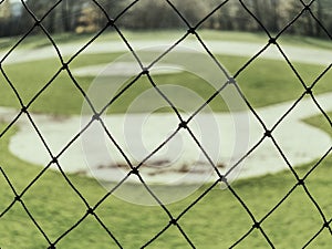 Baseball stadium. Green grass on baseball field