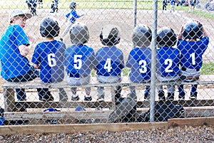 Baseball team in numerical order..