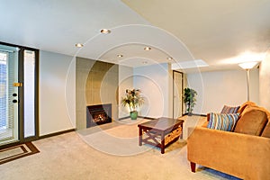 Basement living room interior with fireplace and couch