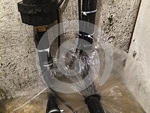 Basement water damage- photo