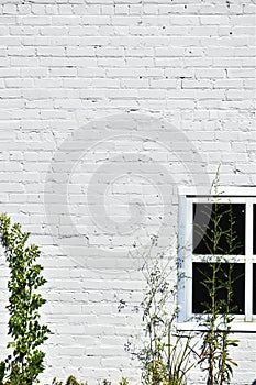basement window white brick wall