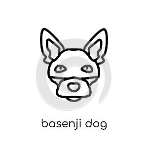 Basenji dog icon. Trendy modern flat linear vector Basenji dog i