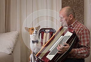 Basenji dog and mature musician with accordion prepare to perform learning new song