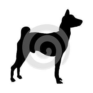 Basenji Dog Silhouette