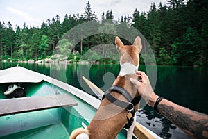 Basenji dog sits on boat at alpine lake