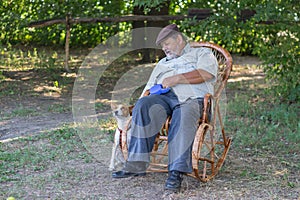 Basenji dog waiting till senior master rest in a wicker rocking chair and play with his dog