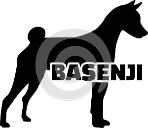 Basenji silhouette with name
