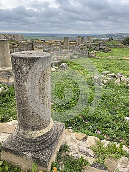 The bases of columns at the Forum of Lixus photo