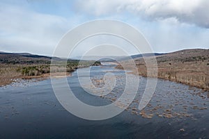 Bashakill Wildlife Management Area