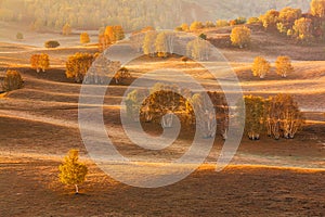 Bashang grassland in the autumn