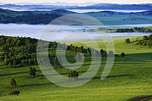 Bashang grassland of Inner Mongolia