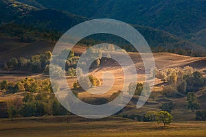 Bashang Plateau - Autumn landscape