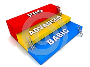 Basic advanced and pro levels