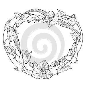 Vector round wreath of outline Bougainvillea or Buganvilla flower, bud and leaf in black isolated on white background. photo