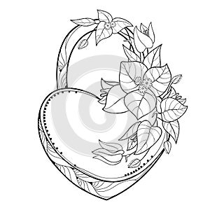 Vector padlock heart with outline bunch Bougainvillea or Buganvilla flower, leaf and bud in black isolated on white background. photo