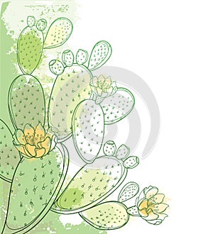 Vector corner bunch of outline Indian fig Opuntia or prickly pear cactus, flower, fruit and spiny stem in pastel green. photo
