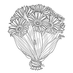 Vector bride bouquet of outline Gerbera or Gerber flower and leaf in black isolated on white background. Bunch of contour Gerbera.