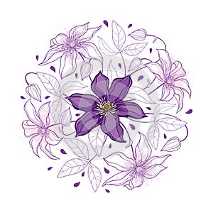 Vector round bouquet with outline pastel purple Clematis or Traveller`s joy ornate flower bunch, bud and leaves isolated on white.