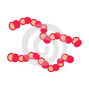 Lactococcus icon, vector