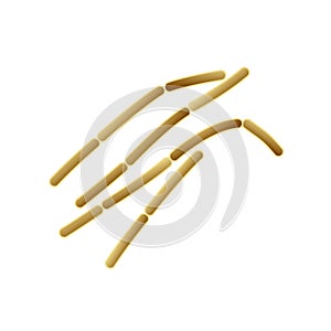 Bulgaricus icon, vector