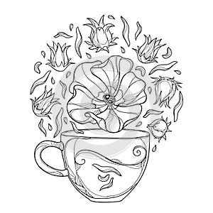 Vector round bunch of outline Roselle or Hibiscus sabdariffa or carcade herbal tea with fruits and flower in black isolated. photo