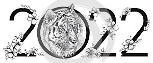 Vector hand-drawn graphic sketch of Siberian or Amur tiger head and flowers in black isolated on white background.