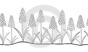 Vector horizontal seamless pattern with outline Muscari or grape hyacinth in black on the white background.