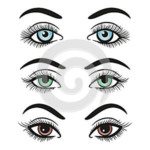 Basic colors female eyes and brows