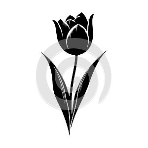 a basic flower rose silhouette vector art design photo