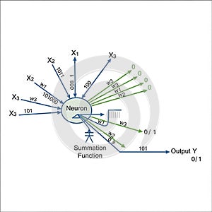 The basic functionality of a perceptron or artificial neuron