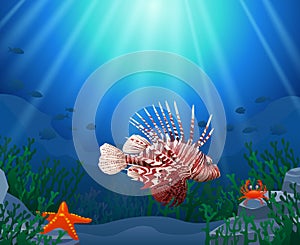 Lionfish and coral reefs in the sea. photo