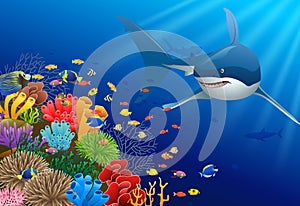 Sharks and coral reefs in the sea. photo