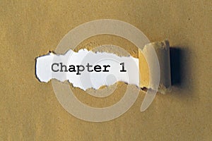 Chapter 1 heading photo