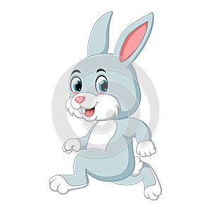 A cute rabbit running