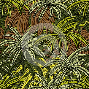 Where the Palm Trees are.