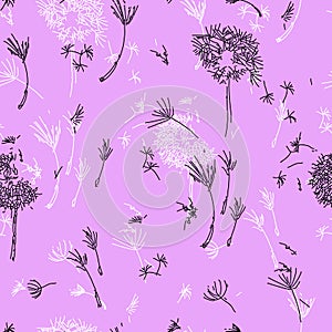 Dandelions on Lavender.