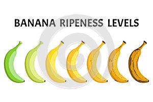 Banana ripeness levels set