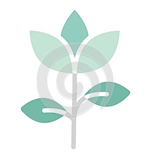 Bloom, blooming flower Isolated Vector icon which can easily modify or edit