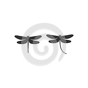 Dragonfly black vector silhouette set.