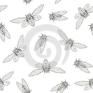 Seamless pattern with exotic cicada flies. photo