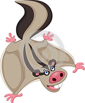 Illustration of Flying squirrel cartoon