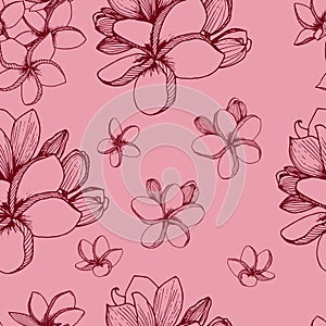 Plumeria flowers pattern