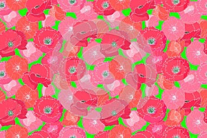 Art floral vector seamless pattern with papaver.