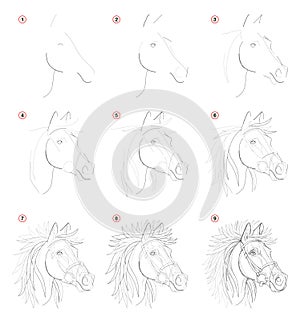 Creation step by step pencil drawing. Page shows how learn to draw sketch of imaginary horses head. photo