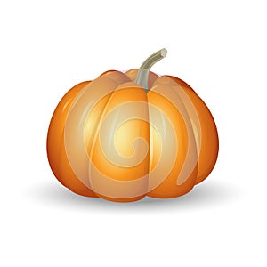 Orange pumpkin - cartoon vector illustration isolated on white background