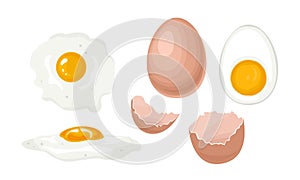 Chicken eggs set. Whole chicken egg in brown shell, half boiled egg with yolk, fried egg, broken egg shell.