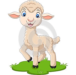 Cartoon happy lamb on the grass photo